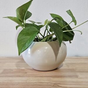 Vintage Italian Pottery Planter